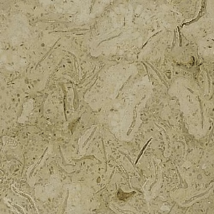 Trevera Marble